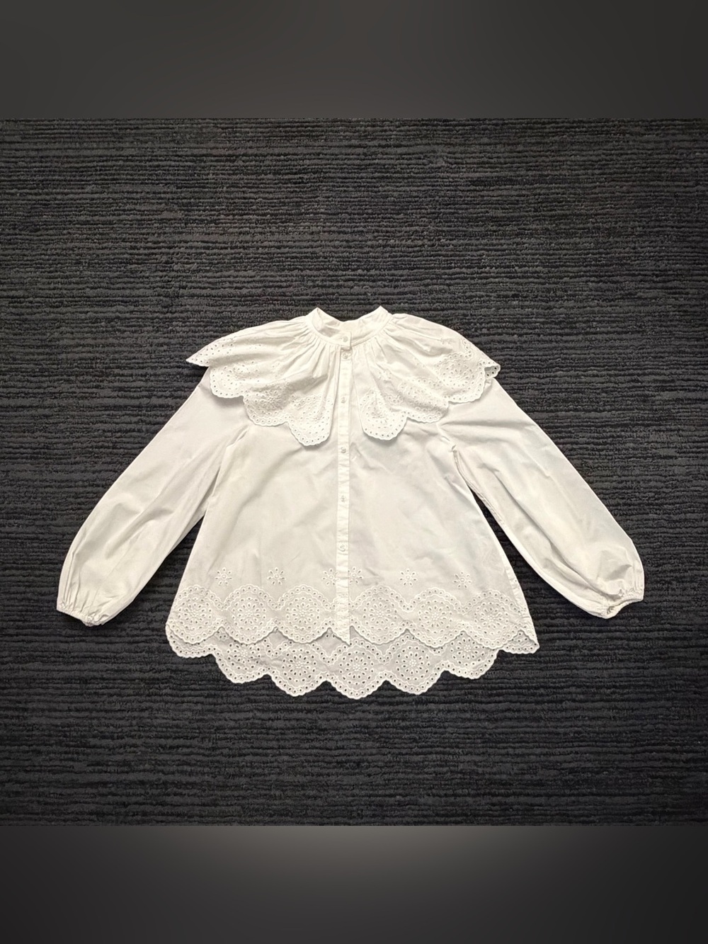 H&M Edition Broderie Anglaise Embroidery Button Up Balloon Sleeve Poplin Blouse